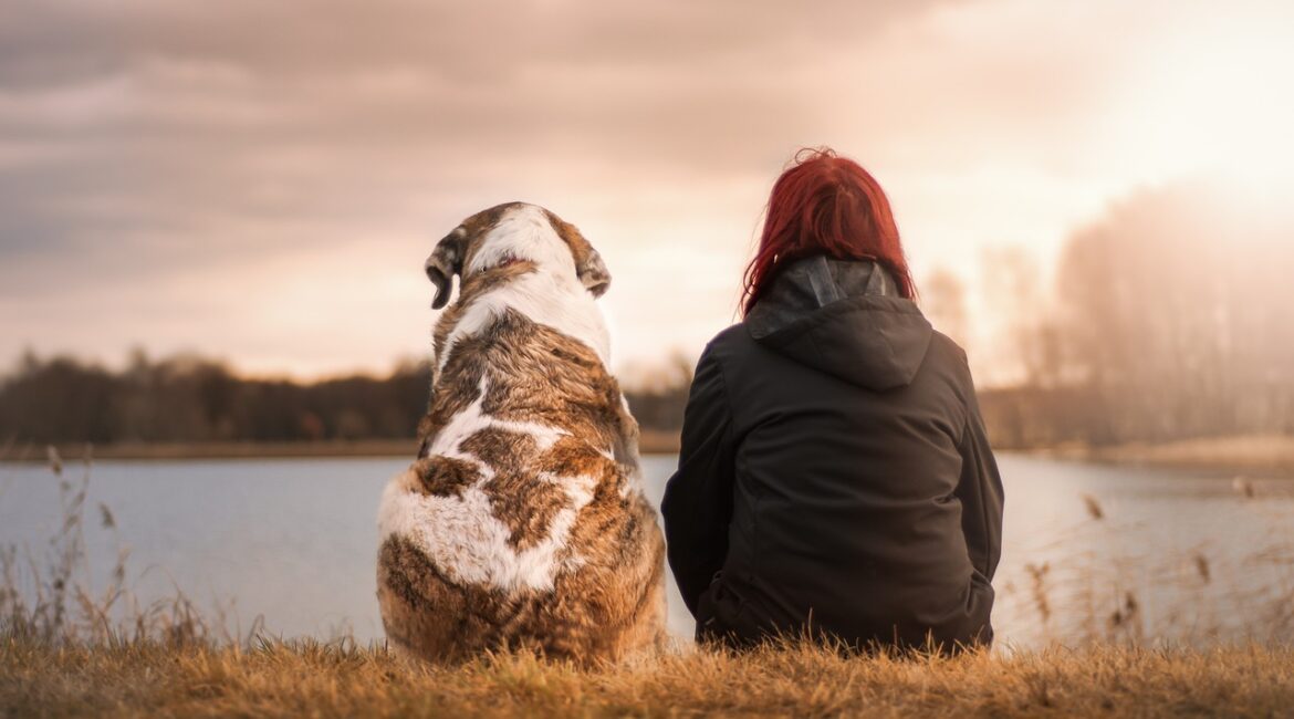 a person and a dog sitting by a lake